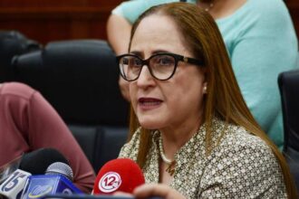 Diputada Marisol Carrillo